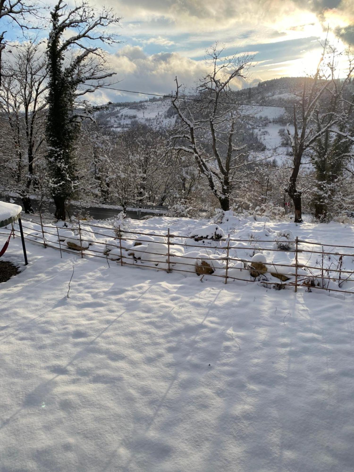 Cottage, Your Cozy Шале